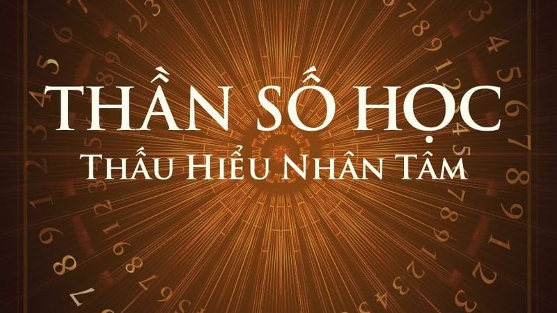 上海抛光砖品牌如何选择？揭秘选购要点**